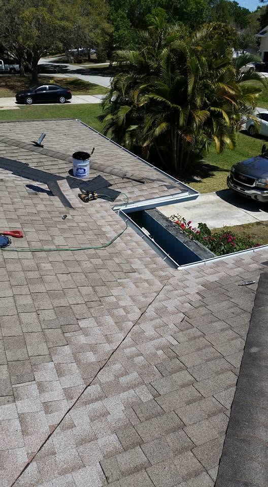 asphalt shingles